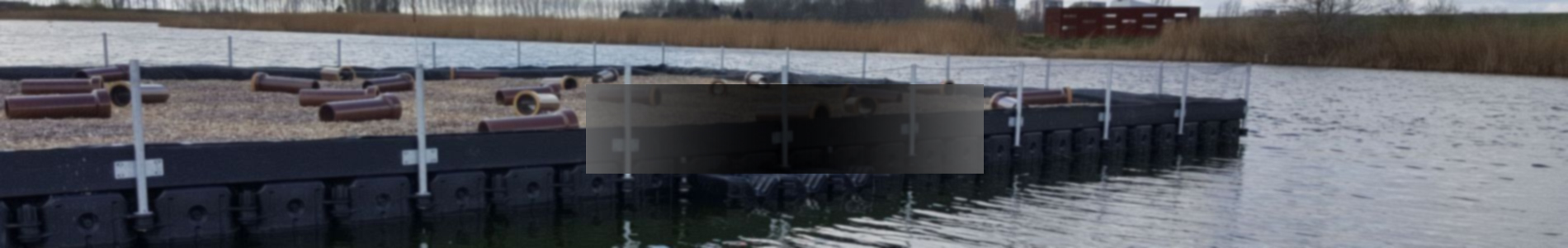 Broedvogeleiland met lokvogels