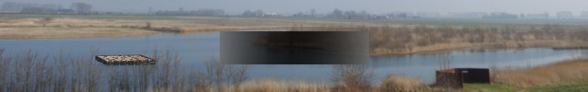 Broedvogeleiland panorama